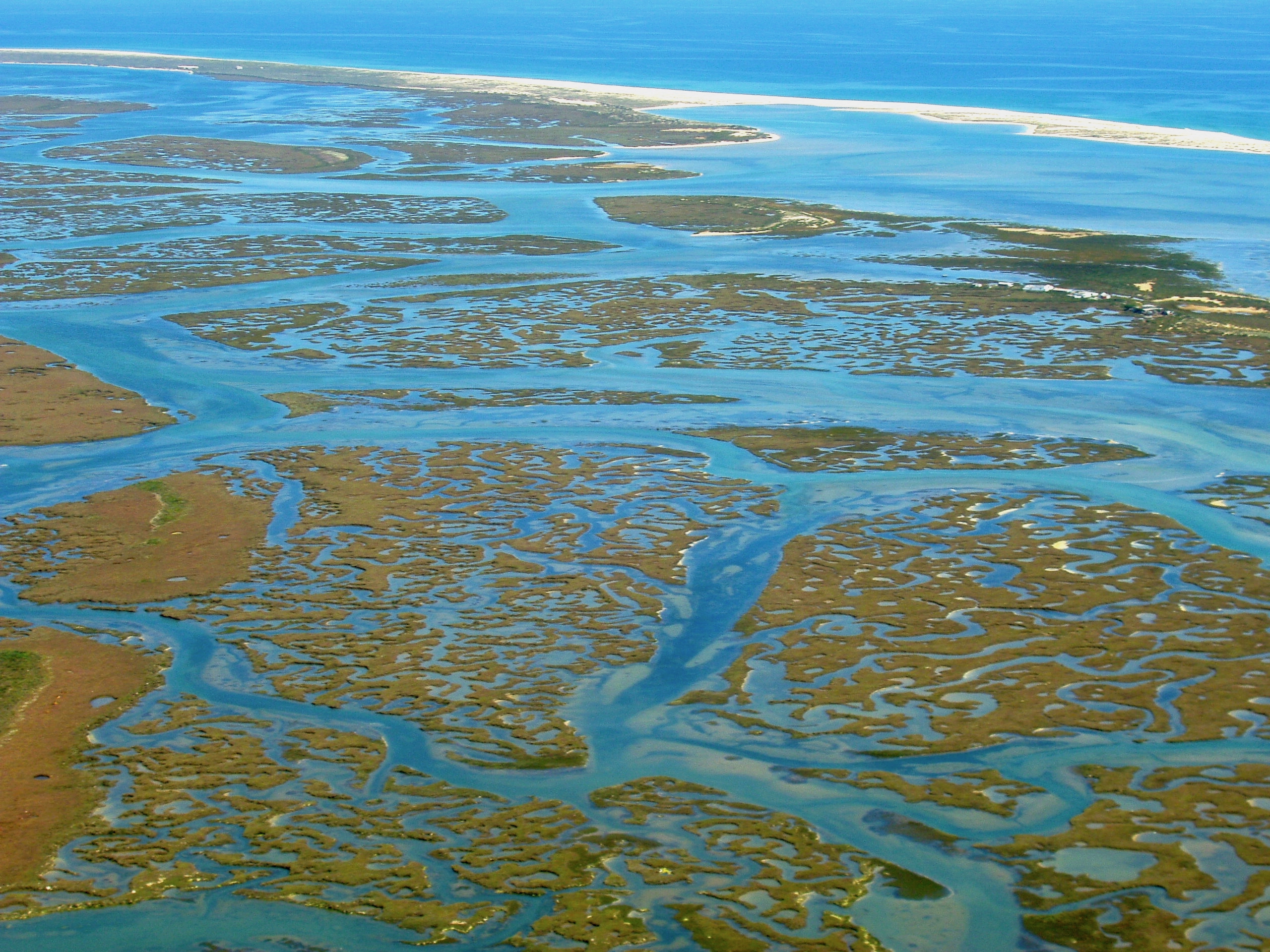 Drawing the Blue Ecosystems Flow