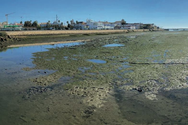 Quando a Hipocrisia se transforma em Hecatombe