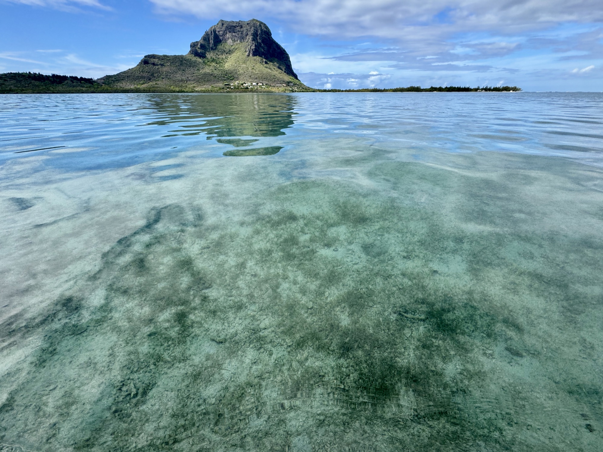 Mauritius Seagrass Nursery