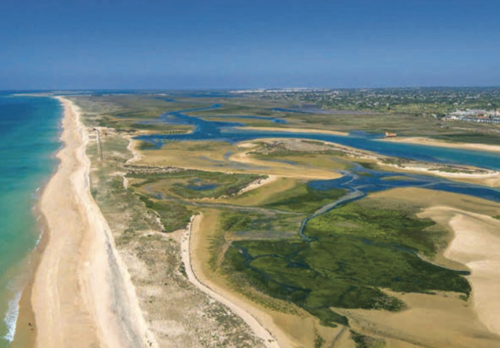 Ria Formosa: o pulmão azul